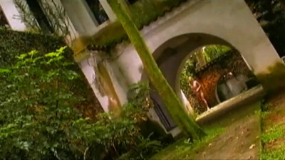 Anal sex in tropical airs