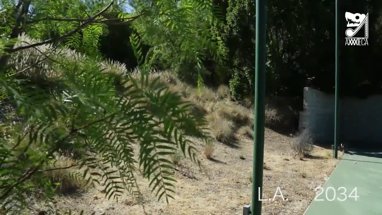 Watch Jovencita gringa prueba la leche mexicana Porn Video - ePornSup.
