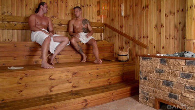 In the sauna with two stallions