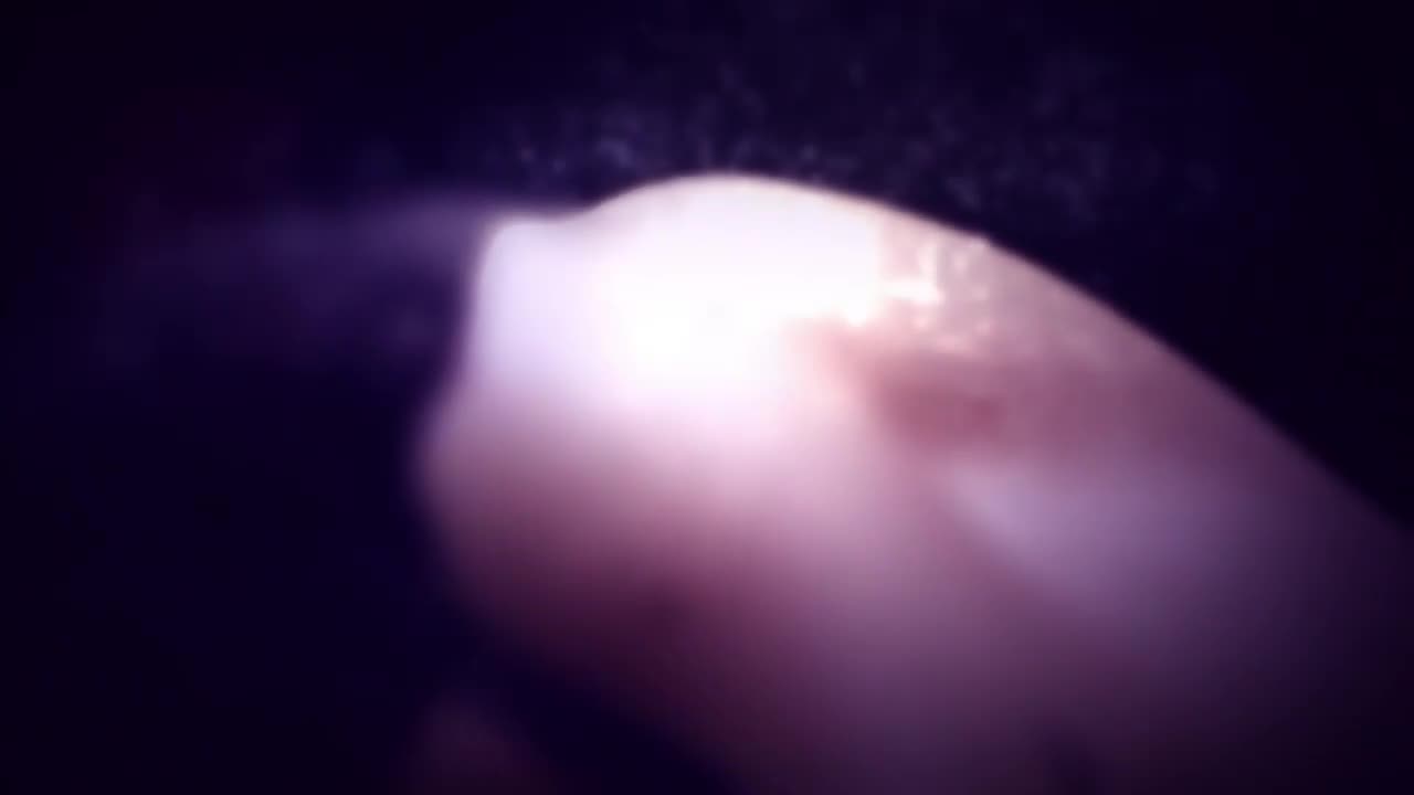 Watch Katrina Moreno - Katrina 4 You Porn Video - ePornSup.