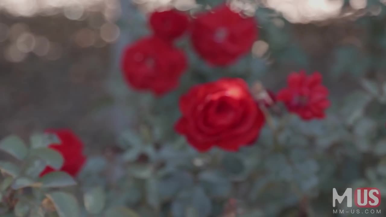 Watch Just a phone call away Porn Video - ePornSup.